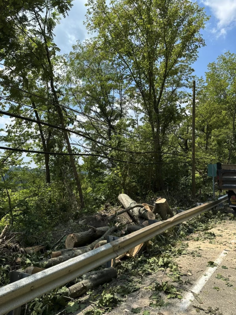 Tree Trimming Blairsville PA